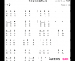 你的爱我珍藏在心间简谱