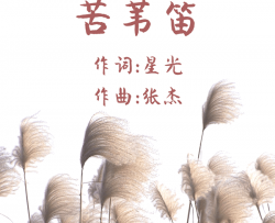 苦苇笛简谱