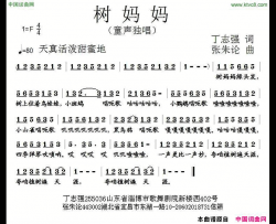 树妈妈简谱