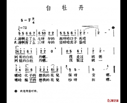 白牡丹简谱-青海民歌、王云阶选编