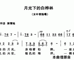 月光下的白桦林简谱