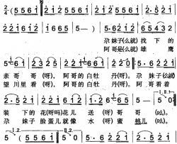 采牡丹焉耆回族民歌简谱