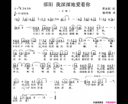 邵阳，我深深地爱着你简谱