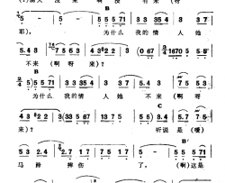 花一般的情人简谱-新疆伊犁 维吾尔民歌 第十套《瓦黛里哈》