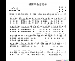 祖国不会忘记我简谱