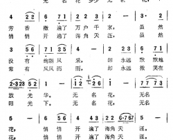 无名的花同名电视剧主题曲简谱