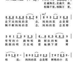 妈妈的思念简谱