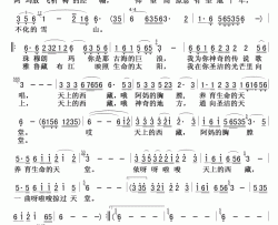 天上的西藏尼玛拉毛版简谱-尼玛拉毛演唱-刘一兰/赵小钧词曲
