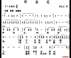 野姜花简谱-李自卫词/胡俊成曲