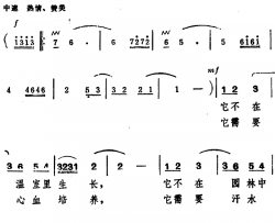 光荣花简谱-程恺 词曲