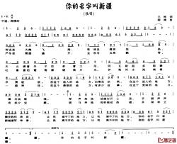 你的名字叫新疆简谱-王彬词/陈雄曲