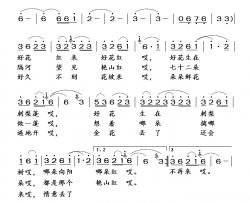 好花红简谱-无词/无曲