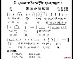 米莽金追马甭简谱-藏族民歌、藏文及音译版