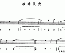 珍珠贝壳简线合谱简谱