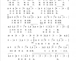 信天游回声嘹亮2019简谱