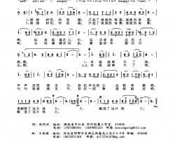 幸福湖畔不了情简谱