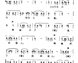 是不是总把我……简谱-新疆伊犁 维吾尔民歌 第十一套《我亲爱的》