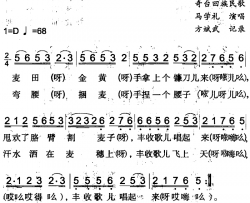 割麦子简谱-奇台回族民歌马学礼-