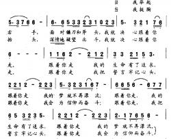 跟着你走简谱-赵凌云词 涧泉、进军曲