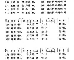 高高山上一枝花简谱-云南民歌