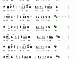 西湖柳简谱(歌词)-陈思思演唱-秋叶起舞记谱