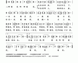 野菊花简谱(歌词)-姚遥演唱-岭南印象曲谱