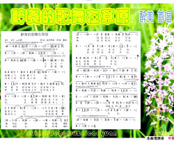 醉美的歌舞在草原简谱-醉美演唱-达烈墨痕/歌奴词曲