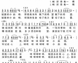 又唱小白杨简谱