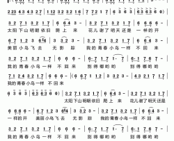 青春舞曲简谱