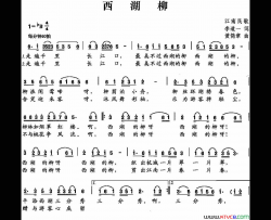 西湖柳简谱