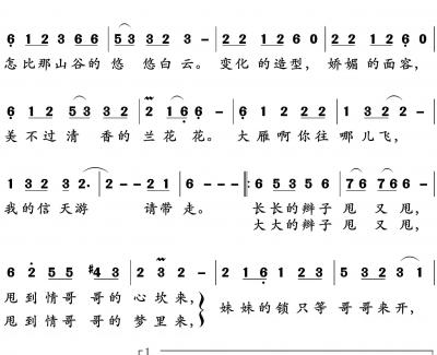 大辩子简谱(歌词)-王二妮演唱-谱友张xz上传