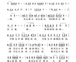 新疆美简谱-许志刚演唱-赵进春/刘莎词曲