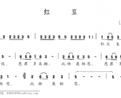 红豆简谱-[唐]王维词 王佳怡曲