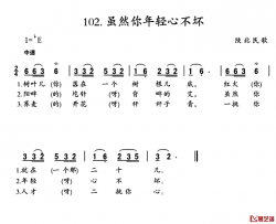 虽然你年轻心不坏简谱-