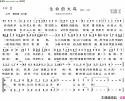 生命的火鸟简谱