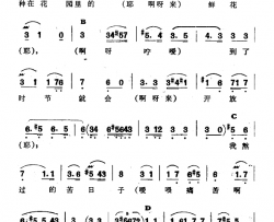 痛苦简谱-新疆伊犁 维吾尔民歌 第十套《瓦黛里哈》