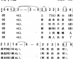幸福的生活像金泉米泉回族民歌简谱