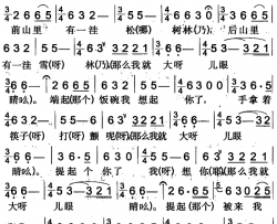 我的大眼睛昌吉回族民歌简谱