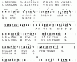 你的套马杆简谱(歌词)-萨仁琪琪格演唱-秋叶起舞记谱上传