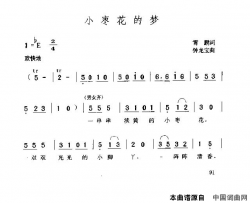 小枣花的梦简谱