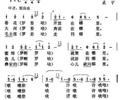 彝家的心向着毛主席简谱-