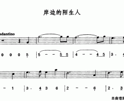 岸边的陌生人简线合谱简谱