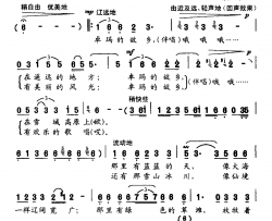 卓玛的故乡简谱-金鸿为词 晨歌曲