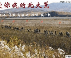 我爱你我的北大荒风帆唱、俞瀛洲曲简谱-风帆演唱-李大江/俞瀛洲词曲
