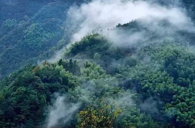 绿野仙踪简谱 陈悦 马克-中国山水画般的清悠淡6