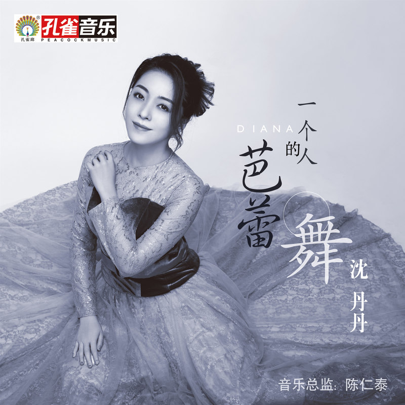 一个人的芭蕾舞简谱(歌词)-沈丹丹1