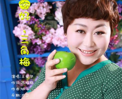 你好，三角梅简谱(歌词)-王爱华