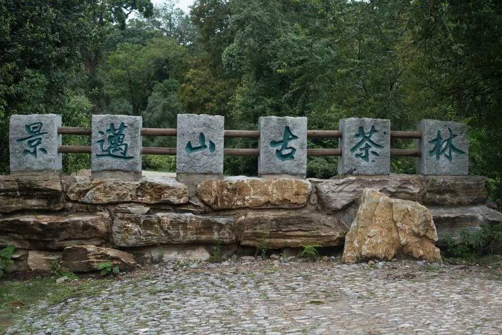 云海上的古茶林吉他谱 倪华-云海上的古茶林  永远是那么美丽4