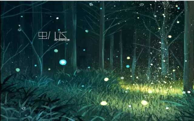 虫儿飞吉他谱-不怕天黑 只怕心碎3
