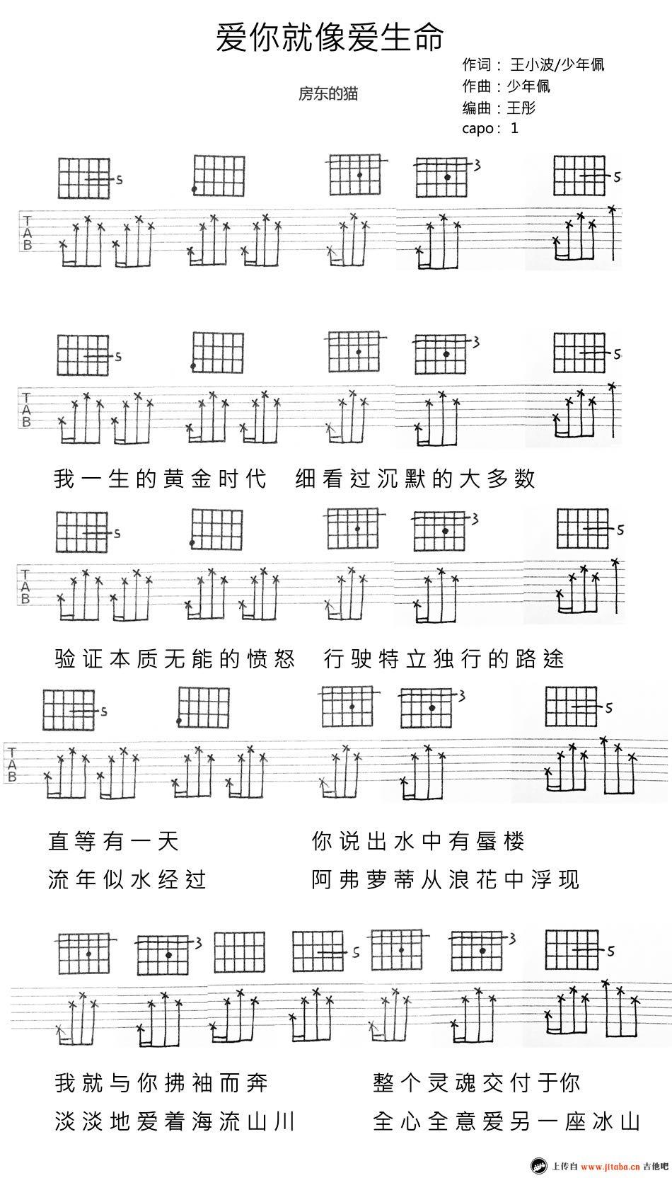 房东的猫《爱你就像爱生命》吉他谱_吉他弹唱六线谱1